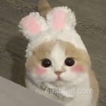 Avatar de Esteban Cabrera